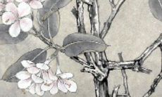 2022年五行土属性八字，因喜水元素而获得顺遂运势的预测