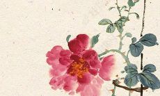 2022年麦林林的事业、财运、感情和健康运势预测