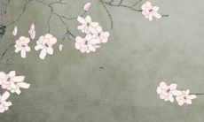 2023年生肖属狗每月运势解析：深入探讨3月份属狗者的吉凶趋势与整体生肖运势走向