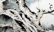 属猪人究竟应该佩戴什么样的吉祥物，在一生中带来好运和实现愿望？