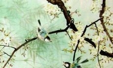 2022年属马狮子女的66周岁运势大揭秘：星空变幻预示着什么？