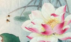 2022年36岁生肖属虎人的全年综合运势预测分析