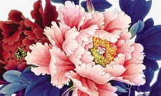 探究2022年属猴女性的综合运势和财富状况