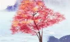 如何化解2022年犯太岁的不利影响并获得吉祥如意之年呢？