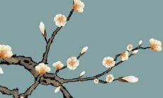 详解2022年属猴人的运势走向和趋势分析