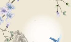 探究属猪人在2022年的运势和运程，包括事业、财运、家庭、感情等方面各自的趋势和展望