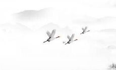 属牛男人2022年8月的事业运是否会如预期一般顺遂而平稳，平淡的表现是令人不快的吗？