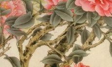 预测：2022年属狗的人的爱情运势将会如何发展？