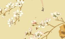 从1999年出生的男兔2022年的命运与前景：星象预测及运势详解