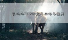 预测：探究麦玲玲2022年虎年本命年吉凶祸福及趋势走向