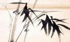 1972年出生的属鼠人在2022年寻求财富的最佳方位指南