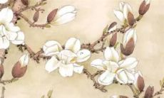 牛年97儿童翻盘的黄金时间：从何时起能开始走运？以及如何辨别属牛97年何时转运？