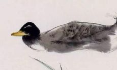 一篇收集了多种国外好听名字的文章