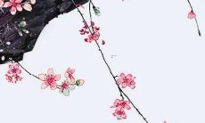 2022年属牛人运势详细预测，包括财运、感情、职场、健康等方面的完整版分析！