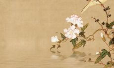 属蛇的人需要注意家中不宜放置哪些物品，同时了解哪些物品能提升房屋氛围及个人运势