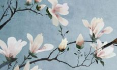 2022年96生肖鼠的全面运势分析及未来12个月的运程和展望