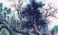 最近发生了一些重大事情，涉及到属鼠的人群