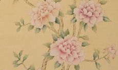 2022年属猪的运势：好坏说得清，详尽解读，全面预测！