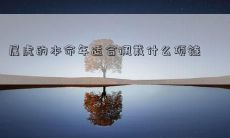 属虎的本命年，哪些项链适合作为装饰？