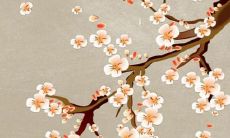 2022年属虎人的本命年化太岁吉祥饰品推荐，为您带来好运与幸福！