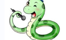 为什么鼠能成为蛇的贵人？探究它们相辅相成的精明智慧