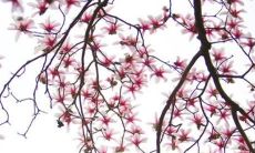 刑太岁是什么？如何有效解除刑太岁的影响？