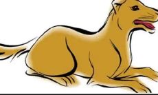 1970年生的属狗女，选择开设哪种店铺较为适合呢？或许可以考虑开设一个提供多种日常生活用品的综合性商超