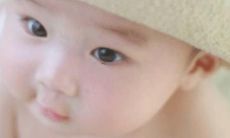 免费起名字大全，适用于男孩，包括独特、求财、名人、音律等主题，助您在命名中选出完美之名，如王守什么等