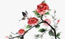 查询：属虎人2022年的运势如何？看看黄历罗盘指南！