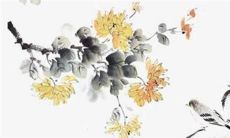 十二生肖属虎人1998年出生恋爱运势解析：2022年相知相守浪漫蜜月期！