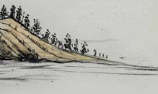 55年属羊人的晚年生活和健康注意事项：探究1955年属羊人的老年生活状况