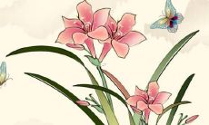 探讨马姓在汉字文化中美妙的名字取法和创作思路