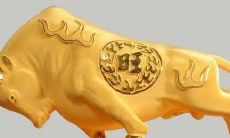 探究生肖与性格之间的关系：据说生肖牛是非常胆小的，从而导致其缺乏冒险精神，敢于尝试新事物的能力十分有限