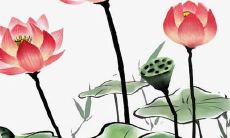 探寻美丽优雅的西班牙男孩名字：寻找适合您宝宝的最佳选择！