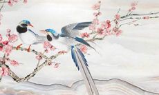 在虎年破太岁的情况下，如何寻求有效的化解方法？