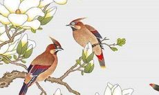 属狗男人2022年6月的健康运势如何？需要注意哪些方面才能保持身体健康和感情和谐？