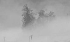 2022年猪的运势：你需要摆放什么样的摆件才能招财进宝？