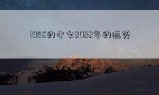 从1985年出生的牛女到2022年，她们的运势是如何的？