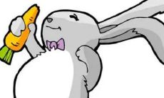 一生中可能发生的婚姻次数：对于99年生肖兔来说，最少也会有两次