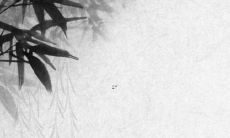 40岁属狗男在2022年上半年的运势如何？