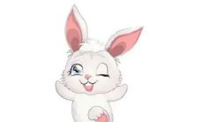 99年出生的属兔人寻找爱情的攻略：如何选择适合自己的对象？