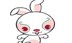 生肖兔在2023年是否有资格自行建造房屋并拥有装修权？