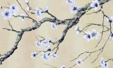 探究1993年出生的属鸡男子在2022年的运势如何？