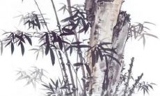 探究1972年和2022年每个月的运势，为你提供更加详细的未来之路指引