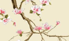 2022年十二生肖属鼠的综合运势解析与预测