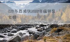 经历40年，1981年出生的属鸡男在2022年将迎来怎样的命运和运势呢？