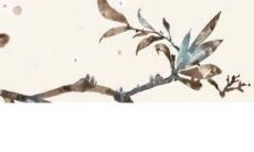 展望2022年双子座的桃花运程，探究双子座在爱情、婚姻等方面的走向和趋势