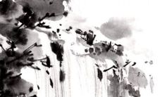 2022年9月属狗人运势展望：健康状况十分良好，享有最好的运势