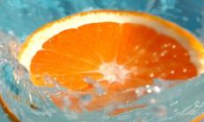 探究狗女和马男相互匹配的婚姻关系对于两种动物社交行为及生理性格之间的影响