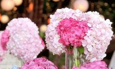 如果你是处女座，这些习惯可能阻碍你的完美人生。改掉它们，你将更接近完美状态！